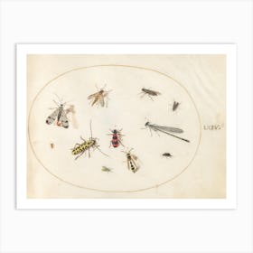 Eleven Insects, Including a Dragonfly and Longhorn Beetle (c. 1575-1580), Joris Hoefnagel Art Print