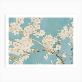 White Cherry Blossoms Art Print