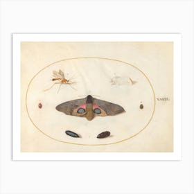 Two Moths, Two Chyrsalides, And Other Insects, Joris Hoefnagel Art Print