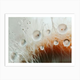 Close Up Of Water Droplets Art Print