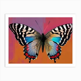 Butterfly 14 Art Print