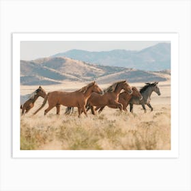 Wild Horses Running Art Print