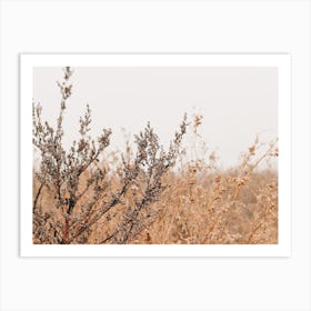 Autumn Wheat Field Art Print