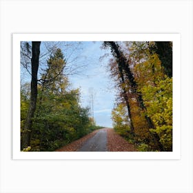 Road In The Woods 4 Art Print