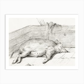 Lying Pig, In The Corner Of A Loft, Jean Bernard Art Print