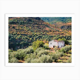 The Spanish Farmhouse Art Print