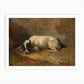 Vintage Painting Dog Laying In The Hay Art Print