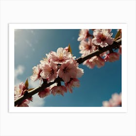 Blooming sakura branch Art Print