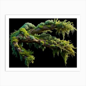 Large Twisted Tree Branch With Moss And Green Foliage 1 Art Print