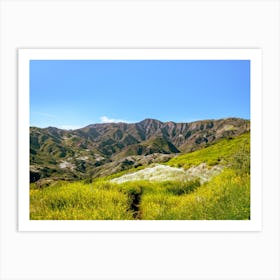 Mountain Meadow Art Print