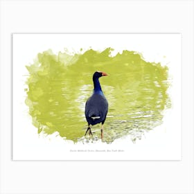 Hunter Wetlands Centre, Newcastle, New South Wales Art Print