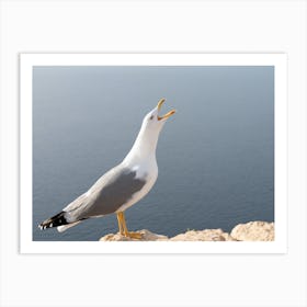 Screaming seagull on the Mediterranean coast Art Print