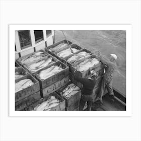 Boxes Of Salmon And Ice On Fishing Boat Unloading At The Docks Of The Columbia River Packing Association, Astoria, Art Print