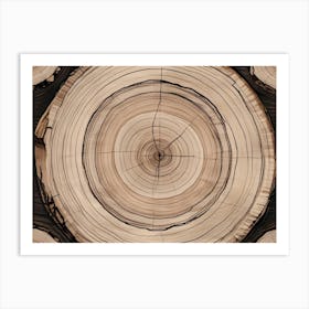 Tree Rings Art Print