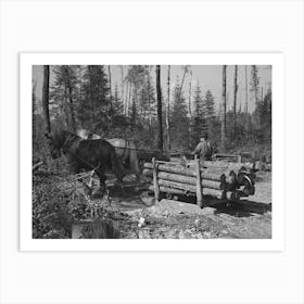 Transporting Timber At Camp Near Effie, Minnesota By Russell Lee Art Print