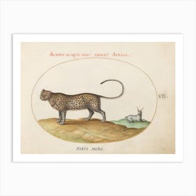 Animalia Qvadrvpedia Et Reptilia, Joris Hoefnagel 1 Art Print