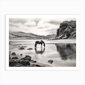 A Horse Oil Painting In Boulders Beach, South Africa, Landscape 2 Art Print