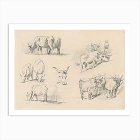 Studies Of Cattle, John Singer Sargent Art Print
