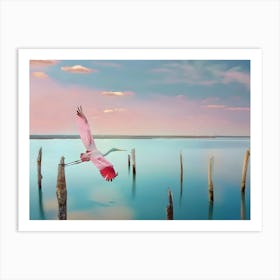 Pink Spoonbill Art Print