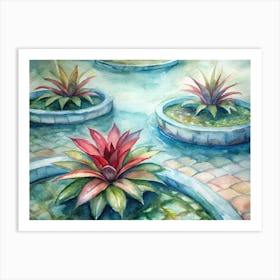 7 Bromeliads With Water Pools At Their Center (1) Art Print