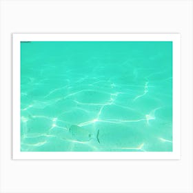 Fish In Clear Water Art Print