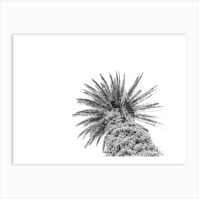 Black And White Palm Tree On Palm Tree Island Sicily In Italy - 2 Art Print