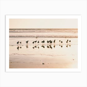 Seagulls On Beach Art Print