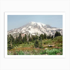 Mount Rainier Wildflowers - Mountain Photography Art Print
