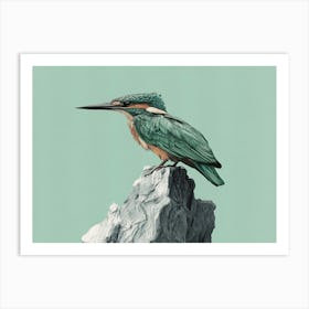 Kingfisher 1 Art Print