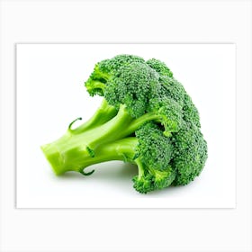 Broccoli On A White Background 1 Art Print