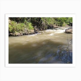 River In The Jungle 1 Art Print