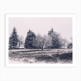 Winter Landscape in Winterberg 3 Art Print