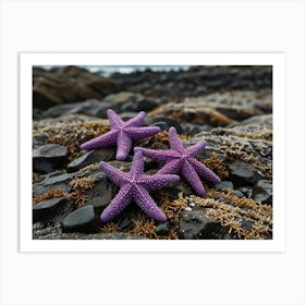 Purple Starfish Art Print