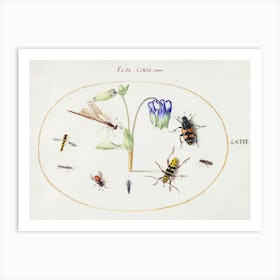 A Dragonfly, A Spotted Longhorn, A Sexton Beetle, And Other Insects With A Blue And White Columbine (1575–1580), Joris Hoefnagel Art Print