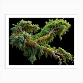 Large Twisted Tree Branch With Moss And Green Foliage Art Print