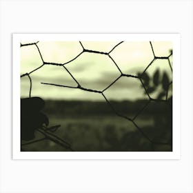 Looking Through Hole in Fence Landscape in Trent Park, London Art Print