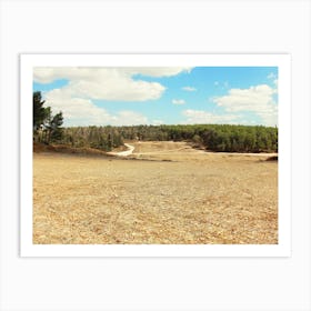 Rural Area On Summer Day Art Print