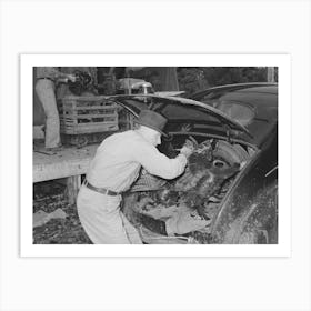 Farmer Unloading Turkeys From Luggage Compartment Of His Car At Cooperative Poultry House, Brownwood, Texas By Art Print