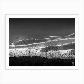 Sunset Over Grass 20211127 120ppub Art Print