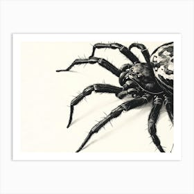 Black And White Spider Art Print