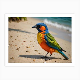 Beautiful Bird On A Sunny Beach 1 Of 3 Art Print