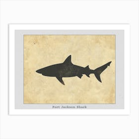 Port Jackson Shark Silhouette 1 Poster Art Print