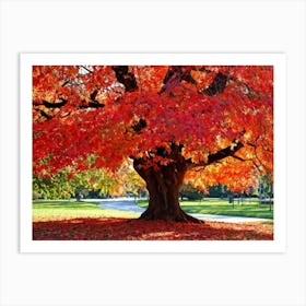 An Autumn Oak Tree Abundantly Lit Branches Spreading Widely Spanning A Slim Sleek Card Leaves Bla (6) Art Print