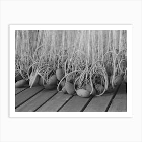 Floats On Nets Used In Salmon Fishing, Astoria, Oregon By Russell Lee Art Print