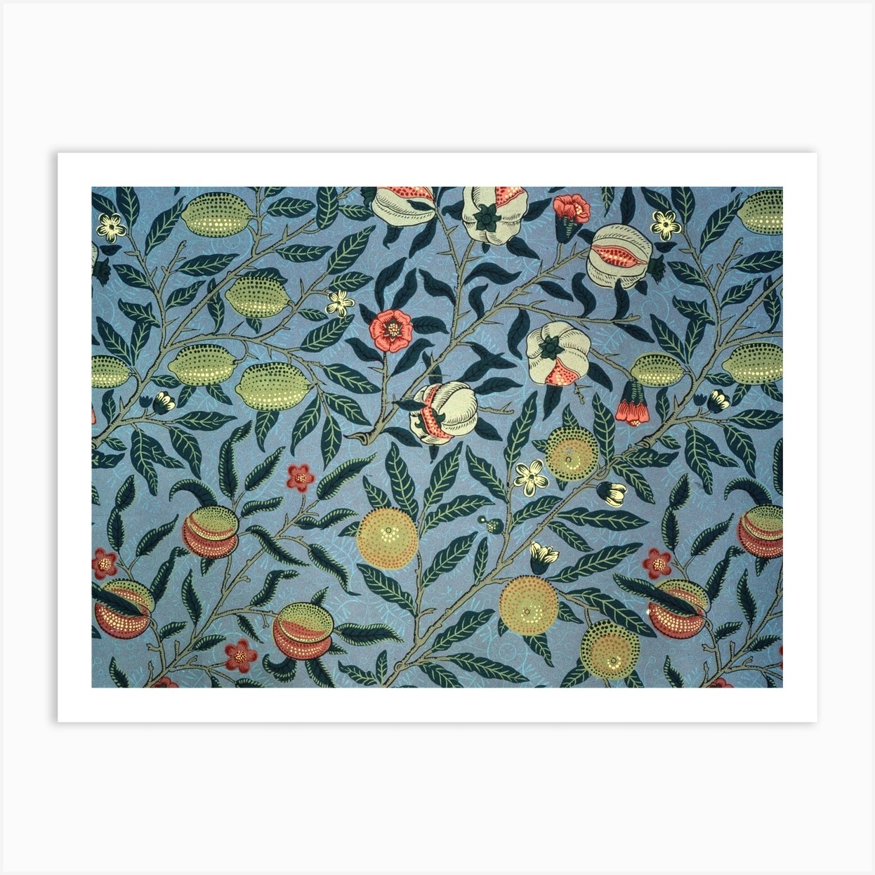 Fruit Blue William Morris Art Print By The William Morris Gallery Fy Fruit Blue William Morris Art Print By The William Morris Gallery Fy