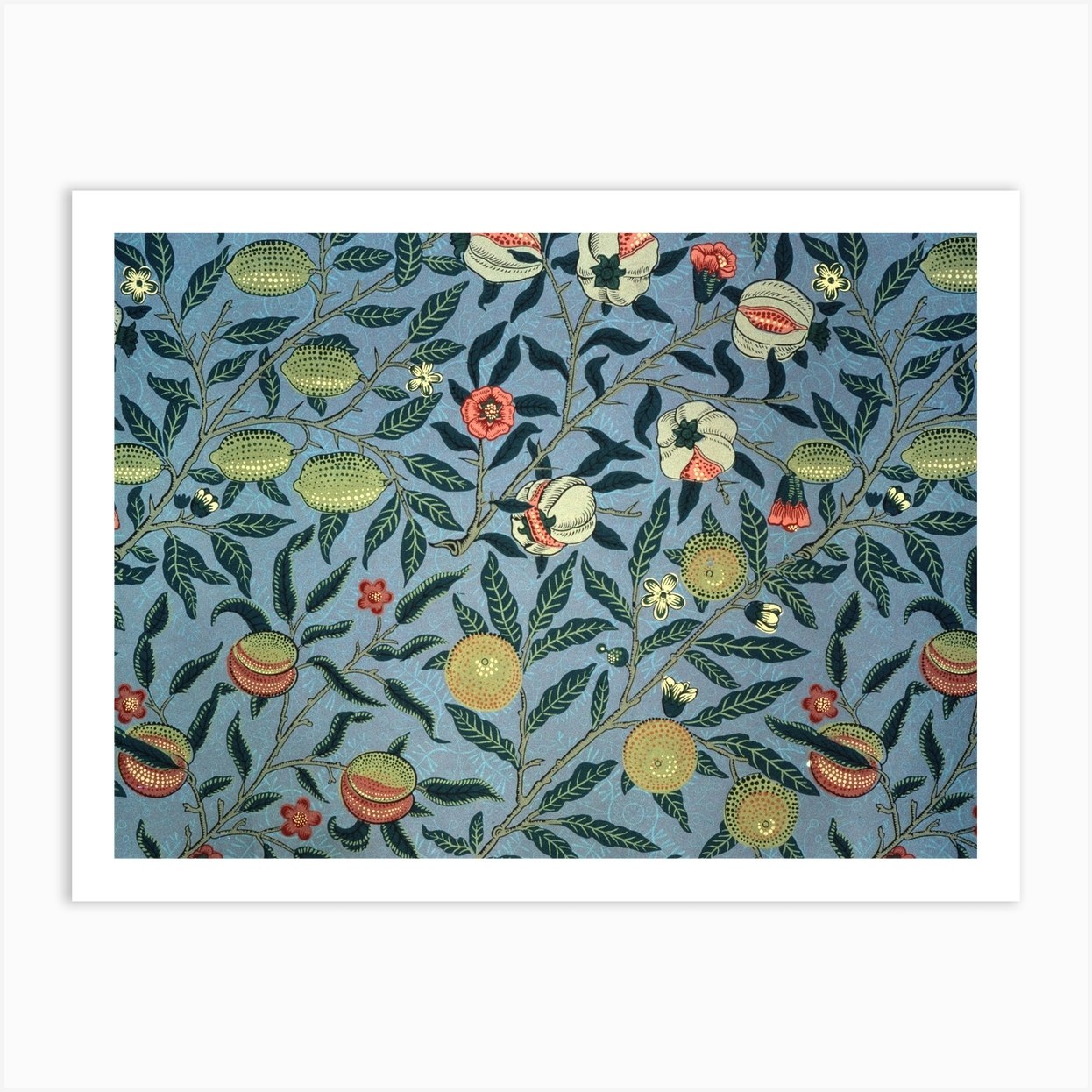 Fruit Blue William Morris Art Print By The William Morris Gallery Fy