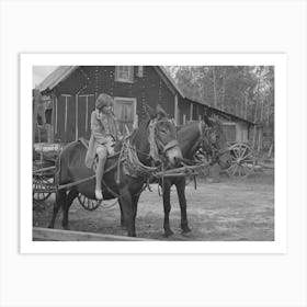Girl Astride Mule, Farm Near Northome, Minnesota By Russell Lee 1 Art Print