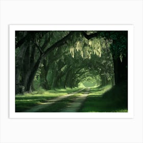 Charleston SC Edisto Island - Botany Bay Road Art Print