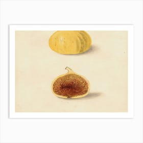 Figs Art Print