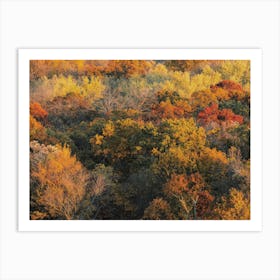 Aerial Fall Foliage Art Print